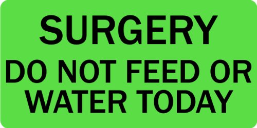 Surgery Do Not Feed Or Water Today - Veterinary Labels - 2” x 1”, [500 Labels/1 Roll], Fluorescent Green | Medical Charts or Cages - Key Information Leading Up to Animal's Surgery | LabelValue Brand