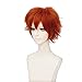 GOOACTION 11.8inch/30cm Male Short Anime Red Fluffy Wig for Nick Wilde Halloween Cosplay Costume Synthetic Hair Wigs