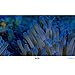 GloFish 19025 Aquarium Background, Jellyfish/Anemone