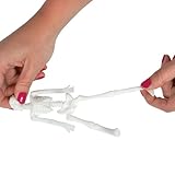 Plastic Stretch Skeletons (1 dz)