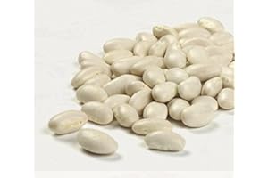 Camellia Brand Dry Baby Lima Beans, 2 Pound Bag