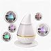 WNOSH 250mL Cool Mist Humidifer Aromatherapy Water-soluble Essential Purifier Diffuser Air Humidifier with 7 Changing Colorful LED Lights Lamp for Home Office Yoga Spa Baby Bedroom