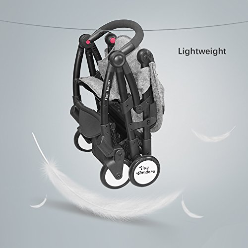 tiny wonders stroller review