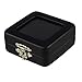 Glass Top Gem Box (2