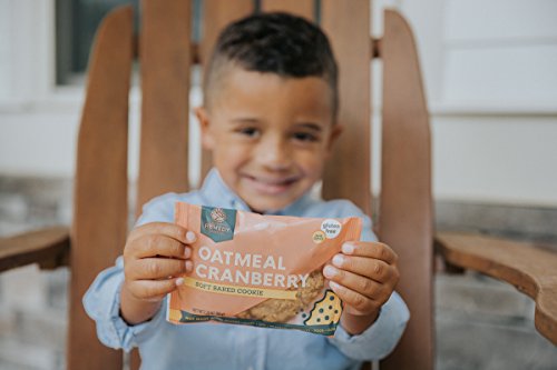 Zac Brown’s Remedy Bake Shop Gluten-Free Cookies, non-GMO, Vegan, Dairy-Free, Soy-Free, Nut-Free, and Egg-Free (5 count box) (Oatmeal Cranberry, 1 Pack)