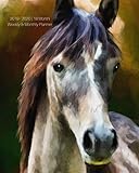 2019 - 2020 | 18 Month Weekly & Monthly Planner: July 2019 to December 2020 | Calendar in Review/Monthly Calendar with U.S./UK/ ... 8 x 10 in.- Horse Painting Animal Vol 11 by Dazzle Book Press