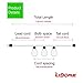 LIDORE 10 Counts Vintage Bronze Iron Nets Lanterns Plug-in String Lights. Great for Indoor/Outdoor Decoration. Best Ambience Decorative Lights. Warm White Glow.