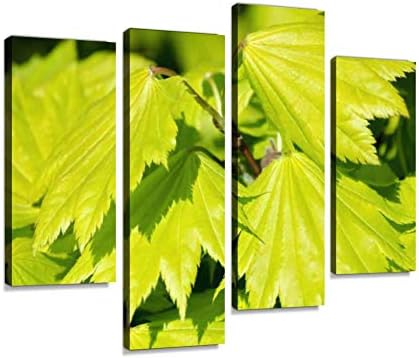 Fresh Japanese Maple Leaves In Springtime Selective Focus Acer Canvas Print Artwork Wall Art Pictures Framed Digital Print Abstract Painting Room Home Office Decor Ready To Hang 4 Panel Buy Online At