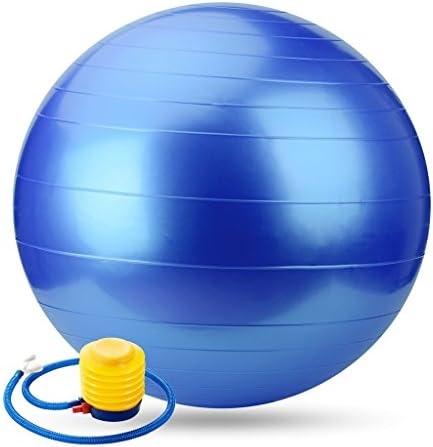 Osier Pure Resistant Fitness Ball Stability Yoga Ball Anti-Burst Swiss Ball Inflatable Balance Ball with Pump