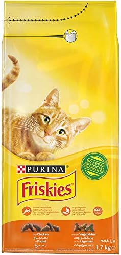 bergan cat scratcher toy Bergan 70128 16 X 1.88 Turbo Scratcher Cat Toy Assorted Colors