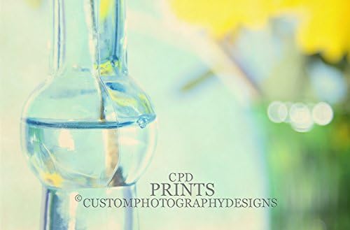 "Flower Vase". An abstract detailed photograph of flowers in a clear vase. A teal blue hue with a blurred background photography print.