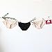 Hesta Rael Women's Organic Cotton Basic Panties Underwear 3 Pack (Medium, 3Blacks)