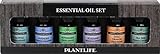 Plantlife Essential Oil Gift Set