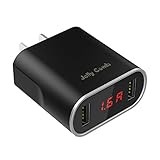 Wall Charger (dual wall charger)