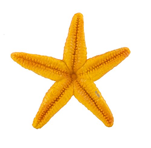 Safari Ltd Wild Safari Sea Life Starfish