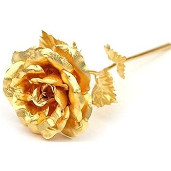 Amazon.com: KDLINKS 24K 6 Inch Gold Foil Rose, Best 