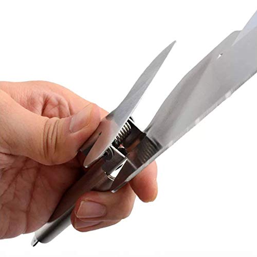 EldHus 4 in 1 Pizza Cutter Wheel, Stainless Steel Pizza Shovel Slicer Sharp Blade Dishwasher Safe Easy to Clean