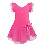 FEESHOW Girls' Gymnastic Ballet Leotard Dance Dress Tutu Skirt Princess Costume Rose 7-8