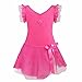 FEESHOW Kids Girls' Ruffle Flutter Sleeve Gymnastic Leotard Ballet Tutu Dress Skirt Princess Dance wear Costumes Rose 5-6