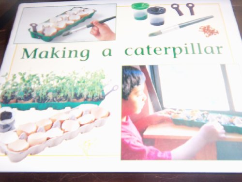 Rigby PM Plus: Individual Student Edition Yellow (Levels 6-8) Making a Caterpiller
