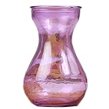 Outflower 1pc Colorful Hydroponic Vase Hyacinth Glass Vase Desktop Plant Hydroponic Vase for Home /Office Decor(Purple)
