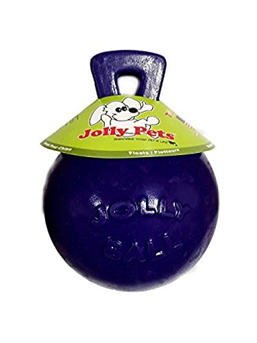 Jolly Pets Tug-N-Toss Ball Color: Purple, Size: 8