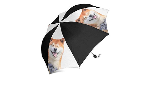 umbrella for dogs amazon