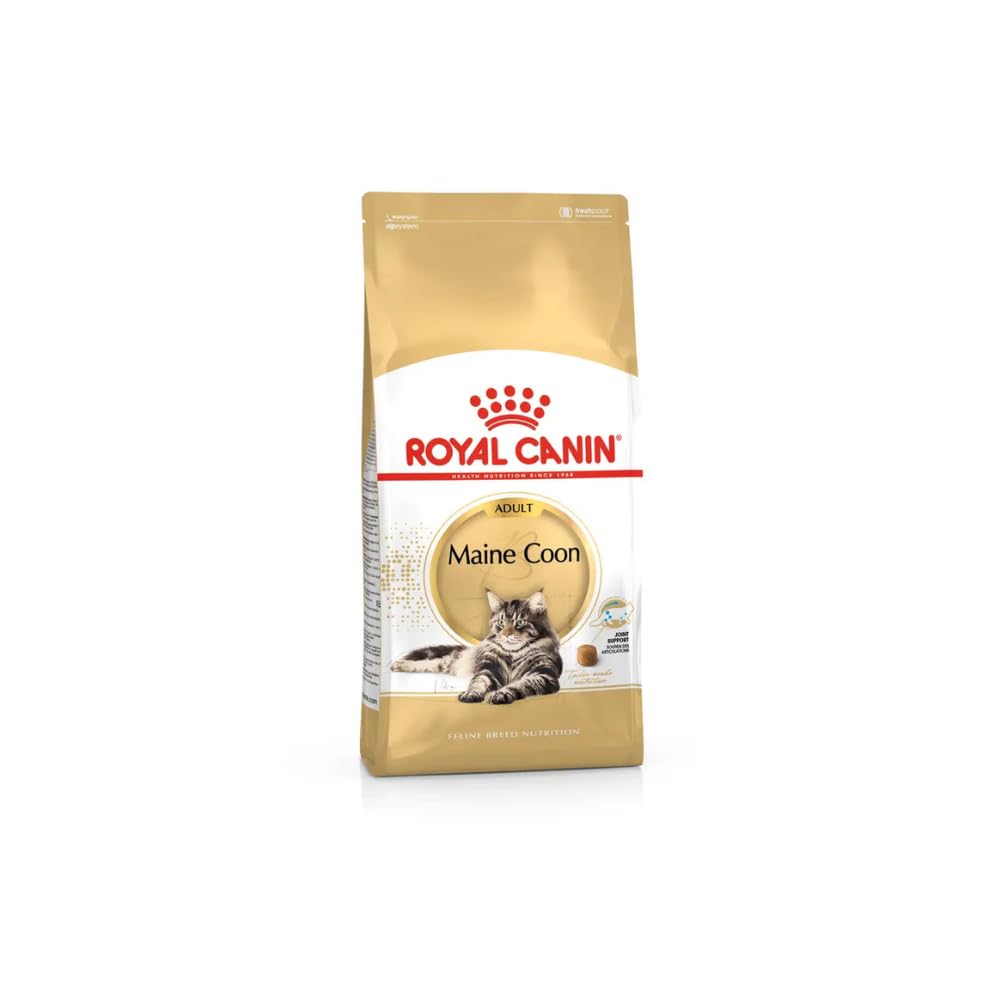 Royal Canin Maine Coon Adult Dry Cat Food 400g