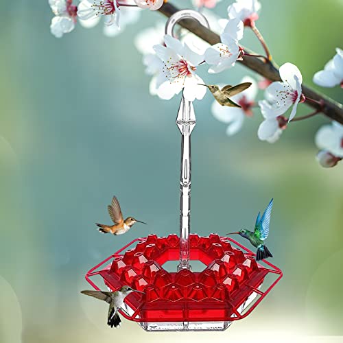 TONSAN Mary Hummingbird Feeder with Ant Moat, Hummingbird Feeder with
