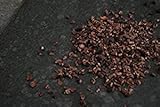 Raw Cacao Nibs Criolo Porcelena Nibs (The Finest Variety from Peru), 16 ounces (1 LBS) (1 PACK (16 oz))