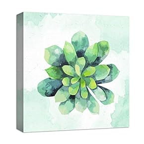 for Living Room Bedroom Home Artwork Paintings Succulent