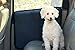 NAC&ZAC Waterproof Pet Car Door Cover, Two Options to Install. Fit All Vehicles.