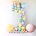100 Pcs 10 Inches Candy Assorted Colors Macaron balloons for Party Decoration (Multicolor)