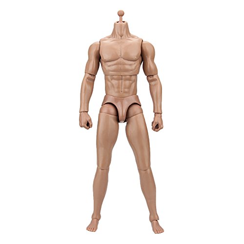 Owfeel No.1 Action Muscle Male Nude Body Figure Soldier Model Toys Doll 1:6 Scale for Hot Toys - Thumbnail 6