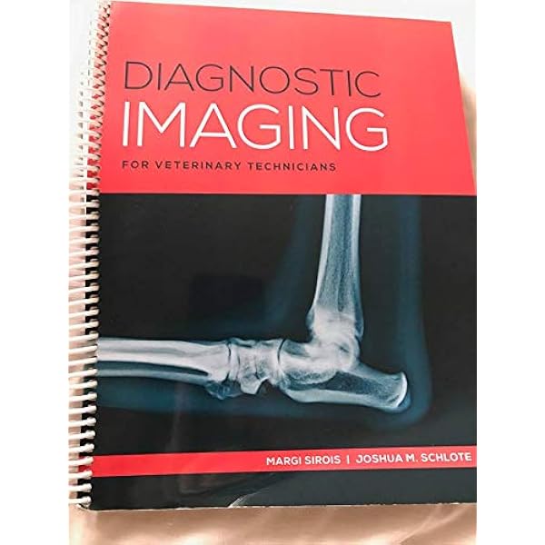 Amazon.com: Medical Imaging Signals And Systems: 9780130653536
