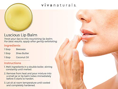 3 Viva+Naturals+Shea+Butter+Unrefined