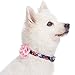 Blueberry Pet 5 Patterns Spring Made Well Elegant Floral Print Dog Collar in Sleek Black with Detachable Pink Flower Accessory, Small, Neck 12