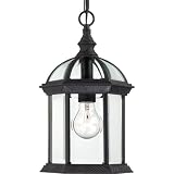 Nuvo Lighting 60/4979 Boxwood One Light Hanging Lantern 100 Watt A19 Max. Clear Beveled Glass Textured Black Outdoor Fixture