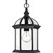 Nuvo Lighting 60/4979 Boxwood One Light Hanging Lantern 100 Watt A19 Max. Clear Beveled Glass Textured Black Outdoor Fixture