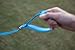 EcoBark Dog Leash - Soft & Reflective Comfort Training Leashes with Padded Handle - Strong Durable Heavy Duty - Training and Pulling for Small, Medium or Large Dogs (Sky Blue)