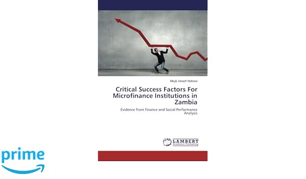 Critical Success Factors For Microfinance Institutions In - 