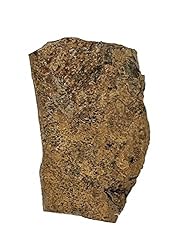 The Geode Mine Genuine Fossilized Leaf from The