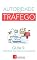 Livro Tráfego de Imagem no Google: Um Curso Completo em 8 Passos Sobre O Tráfego em Websites (Autoridade em Tráfego Livro 5)
