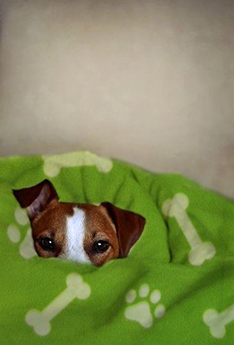 image for Firefly Collection Fleece Pet Blanket/Throw, Oversized and Super Plush