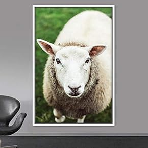 signwin Framed Canvas Wall Art Sheep Animals Expressive...