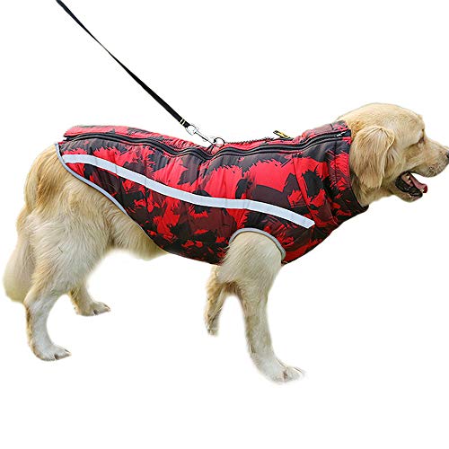 dog jacket with zipper on back