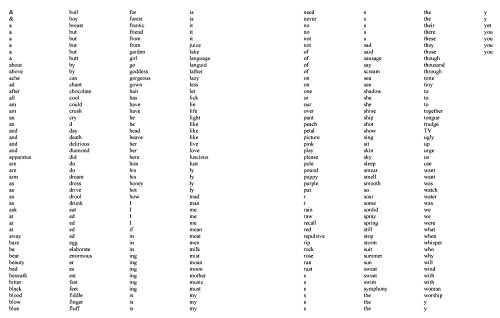 Magnetic Poetry: Original Edition : A Box of Words Searching for Meaning on a Sea of Metal - Thumbnail 6