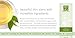 Kiss My Face Start Up Exfoliating Face Wash, 4 oz Tubes (Pack of 3)
