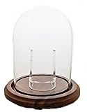Hand Blown Pocket Watch Glass Cloche Display Dome