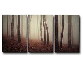 Three Piece Foggy Tree Forest During Fall Time...